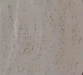 Flexible Round Line Board Travertine